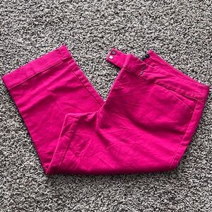 Ann Taylor Fuchsia Capris 16 Curvy